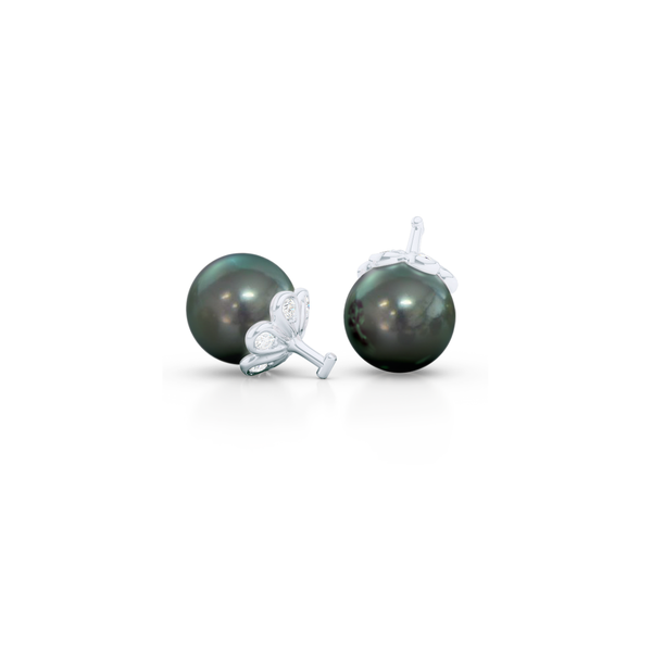 Elegant Pearl dangle earrings. Diamond iced, knife-edge hoops, hand-fabricated in sustainable, solid White Gold, or Platinum. Genuine Sea-Green Fiji Pearl dangle bottoms. One Hoop – Many Possibilities. Free Shipping on All USA Orders. 15-Day Returns | BASHERT JEWELRY | Boca Raton, Florida